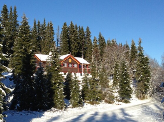 En hytte på fjellet i skogen, med snø rundt.